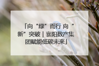 向“绿”而行 向“新”突破｜襄阳数产集团赋能低碳未来