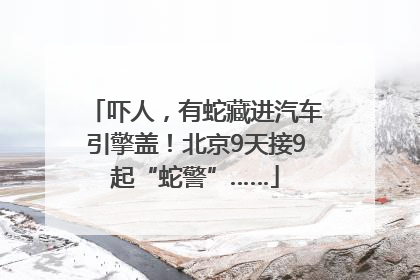 吓人，有蛇藏进汽车引擎盖！北京9天接9起“蛇警”……