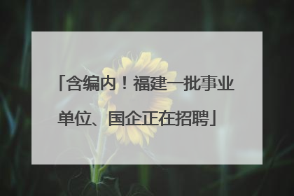 含编内！福建一批事业单位、国企正在招聘
