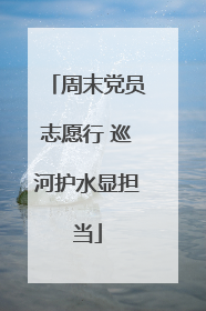 周末党员志愿行 巡河护水显担当