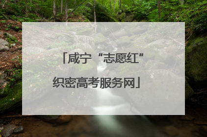 咸宁“志愿红”织密高考服务网