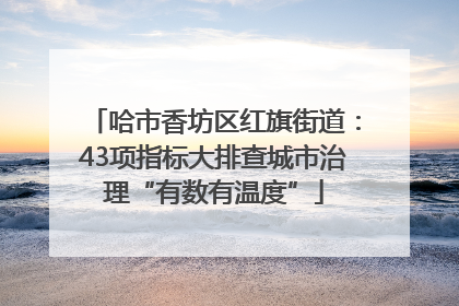 哈市香坊区红旗街道：43项指标大排查城市治理“有数有温度”