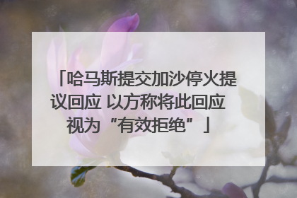 哈马斯提交加沙停火提议回应 以方称将此回应视为“有效拒绝”