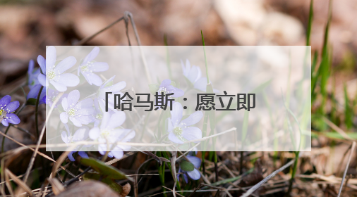 哈马斯：愿立即开启新一轮加沙停火间接谈判