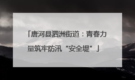 唐河县泗洲街道：青春力量筑牢防汛“安全堤”