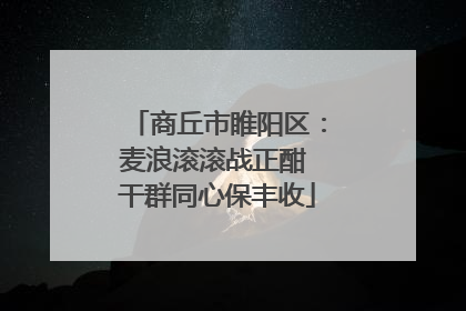 商丘市睢阳区：麦浪滚滚战正酣 干群同心保丰收