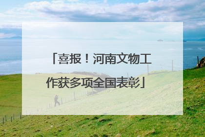 喜报！河南文物工作获多项全国表彰