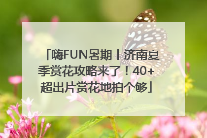 嗨FUN暑期丨济南夏季赏花攻略来了！40+超出片赏花地拍个够