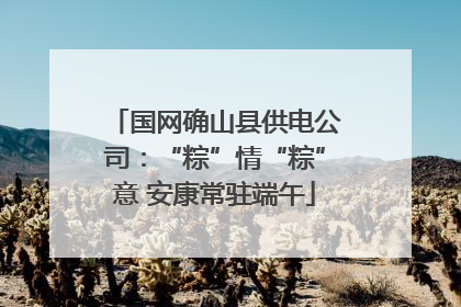 国网确山县供电公司：“粽”情“粽”意 安康常驻端午