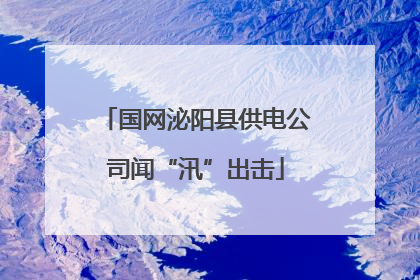 国网泌阳县供电公司闻“汛”出击