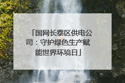 国网长泰区供电公司：守护绿色生产赋能世界环境日