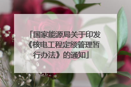 国家能源局关于印发《核电工程定额管理暂行办法》的通知