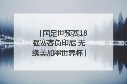 国足世预赛18强赛客负印尼 无缘美加墨世界杯