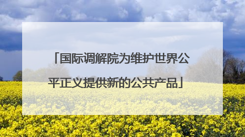 国际调解院为维护世界公平正义提供新的公共产品