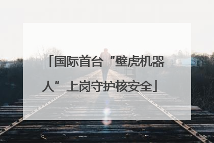 国际首台“壁虎机器人”上岗守护核安全