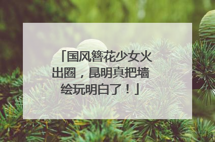 国风簪花少女火出圈，昆明真把墙绘玩明白了！