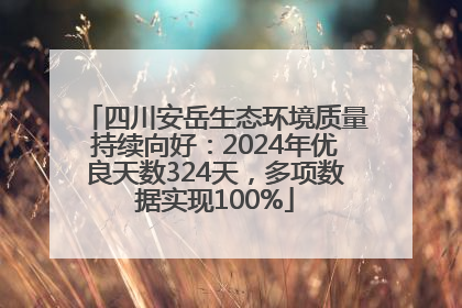四川安岳生态环境质量持续向好：2024年优良天数324天，多项数据实现100%