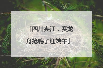 四川夹江：赛龙舟抢鸭子迎端午