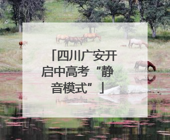 四川广安开启中高考“静音模式”