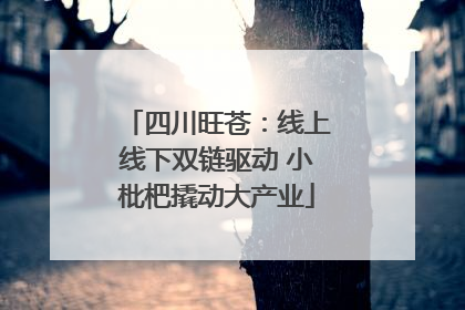 四川旺苍：线上线下双链驱动 小枇杷撬动大产业