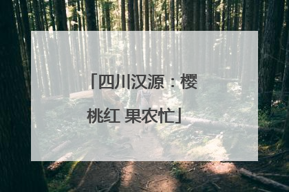 四川汉源：樱桃红 果农忙