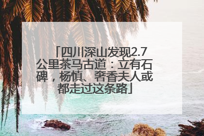 四川深山发现2.7公里茶马古道：立有石碑，杨慎、奢香夫人或都走过这条路