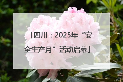 四川：2025年“安全生产月”活动启幕