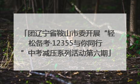 团辽宁省鞍山市委开展“轻松备考·12355与你同行”中考减压系列活动第六期