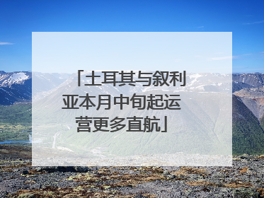 土耳其与叙利亚本月中旬起运营更多直航