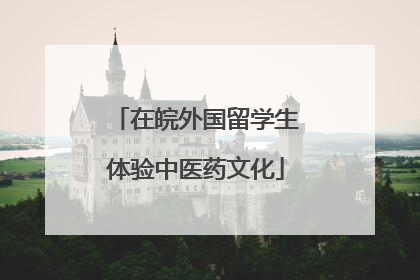 在皖外国留学生体验中医药文化