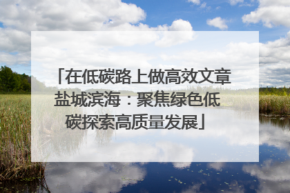 在低碳路上做高效文章 盐城滨海：聚焦绿色低碳探索高质量发展
