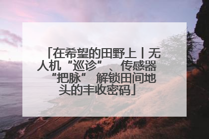 在希望的田野上丨无人机“巡诊”、传感器“把脉” 解锁田间地头的丰收密码
