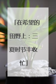 在希望的田野上：三夏时节丰收忙