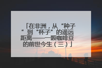在非洲，从“种子”到“杯子”的遥远距离——一颗咖啡豆的前世今生（三）