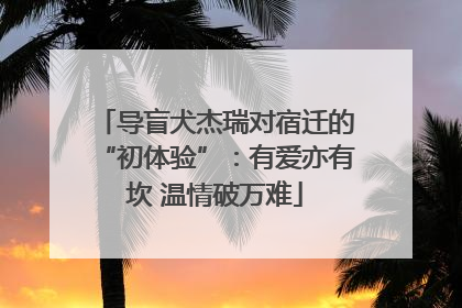 导盲犬杰瑞对宿迁的“初体验”：有爱亦有坎 温情破万难