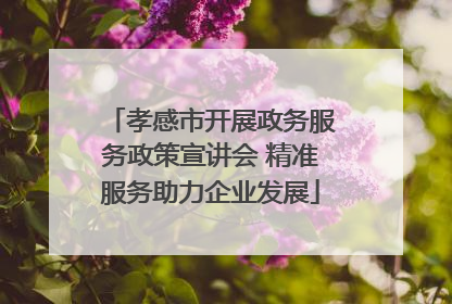 孝感市开展政务服务政策宣讲会 精准服务助力企业发展