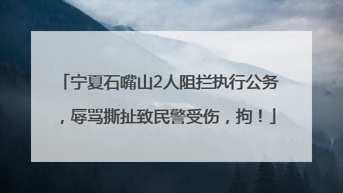 宁夏石嘴山2人阻拦执行公务，辱骂撕扯致民警受伤，拘！