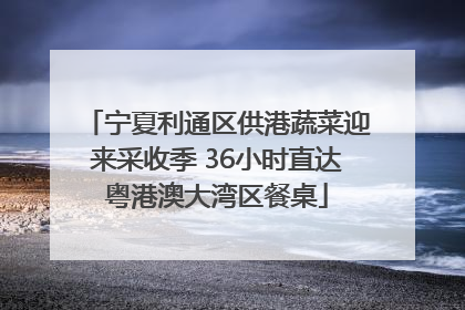 宁夏利通区供港蔬菜迎来采收季 36小时直达粤港澳大湾区餐桌