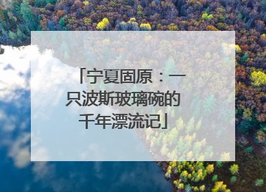 宁夏固原：一只波斯玻璃碗的千年漂流记