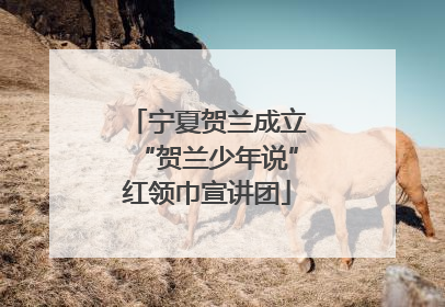 宁夏贺兰成立“贺兰少年说”红领巾宣讲团