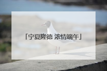 宁夏隆德 浓情端午