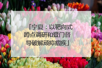 宁夏：以靶向式蹲点调研和登门督导破解顽瘴痼疾