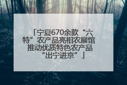 宁夏670余款“六特”农产品亮相农展馆 推动优质特色农产品“出宁进京”