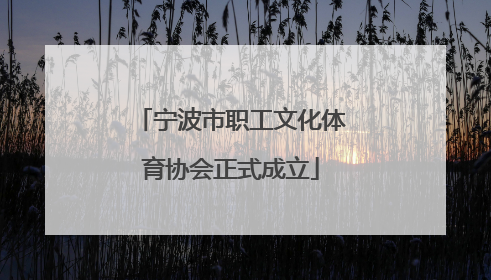宁波市职工文化体育协会正式成立