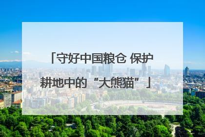 守好中国粮仓 保护耕地中的“大熊猫”