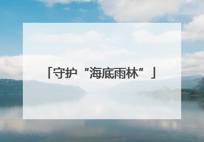 守护“海底雨林”