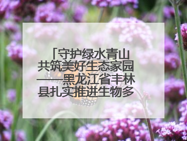守护绿水青山 共筑美好生态家园——黑龙江省丰林县扎实推进生物多样性保护工作