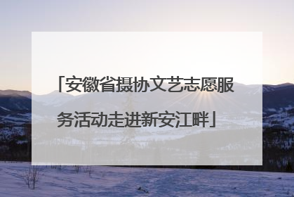 安徽省摄协文艺志愿服务活动走进新安江畔