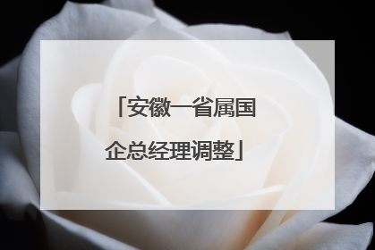 安徽一省属国企总经理调整