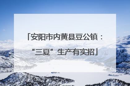 安阳市内黄县豆公镇：“三夏”生产有实招